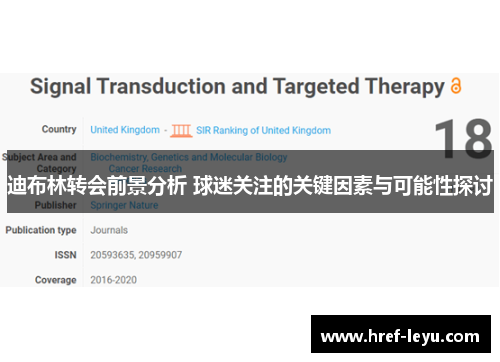 迪布林转会前景分析 球迷关注的关键因素与可能性探讨